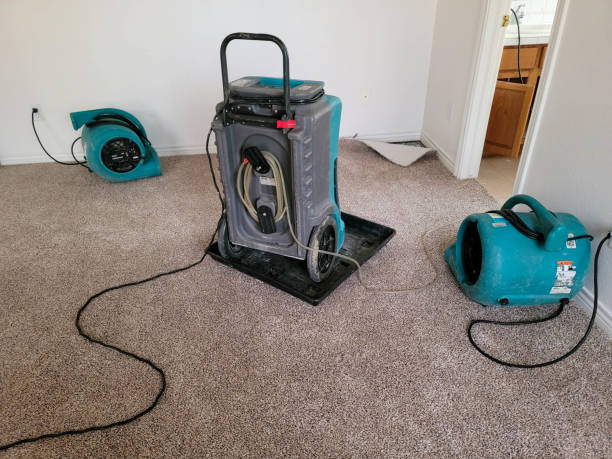 Professional Water damage restoration in MD