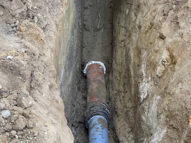 Best Sewage cleanup and water damage restoration  in Wildewood, MD