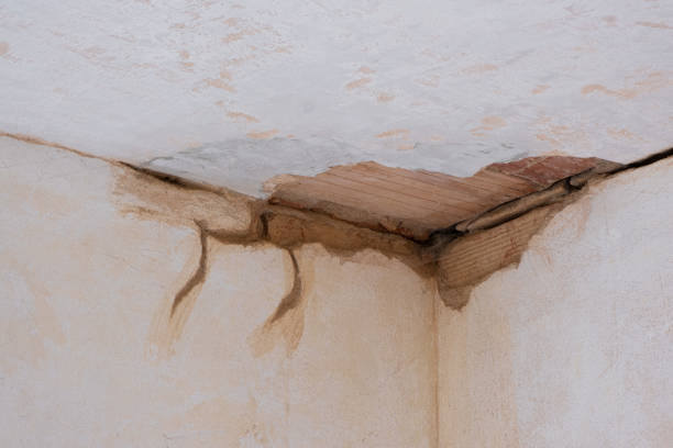 Best Water damage restoration cost  in Wildewood, MD