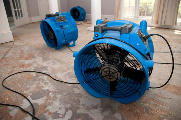 Best Emergency water extraction  in Wildewood, MD