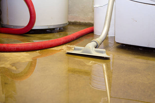 Best Mold removal after water damage  in Wildewood, MD