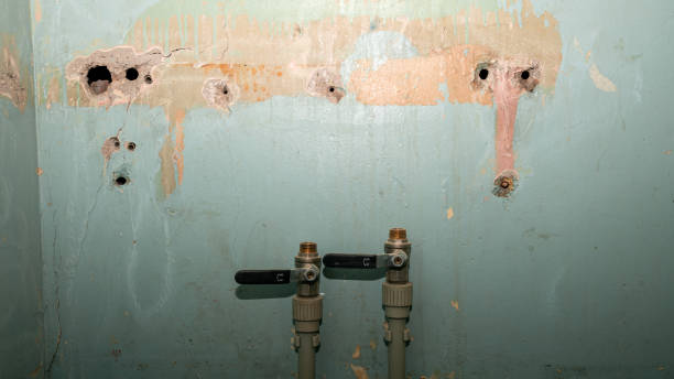 Best Professional water damage repair  in Wildewood, MD