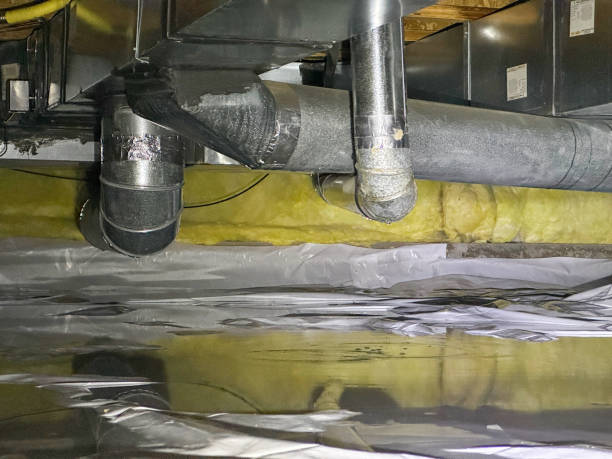 Best Basement water damage restoration  in Wildewood, MD