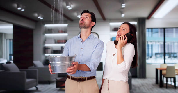 Best Fire Damage Restoration  in Wildewood, MD