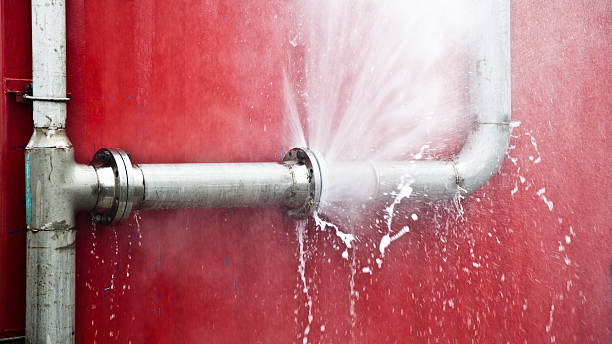 Best Residential water damage restoration  in Wildewood, MD